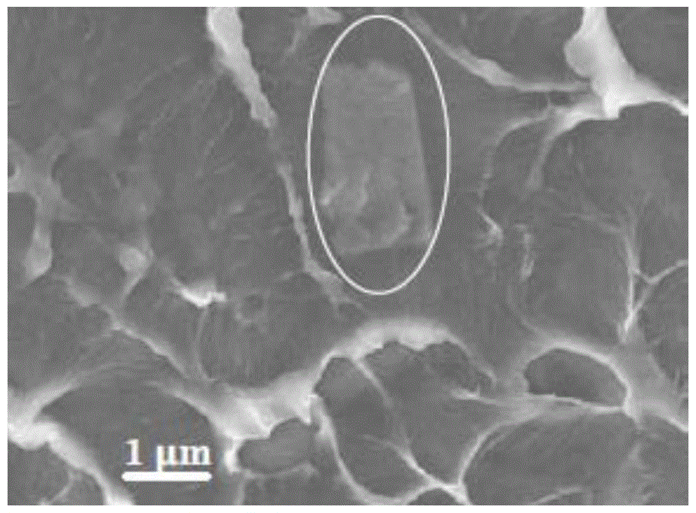 Preparation method of surface-grafted polyoctadecyl methacrylate nano-silica