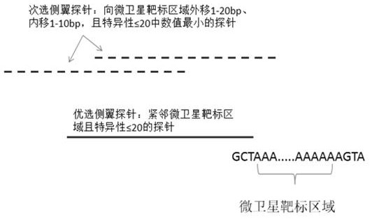 Probe set, system and detection method for detecting unstable sites of next-generation sequencing microsatellite and application of probe set