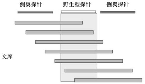 Probe set, system and detection method for detecting unstable sites of next-generation sequencing microsatellite and application of probe set