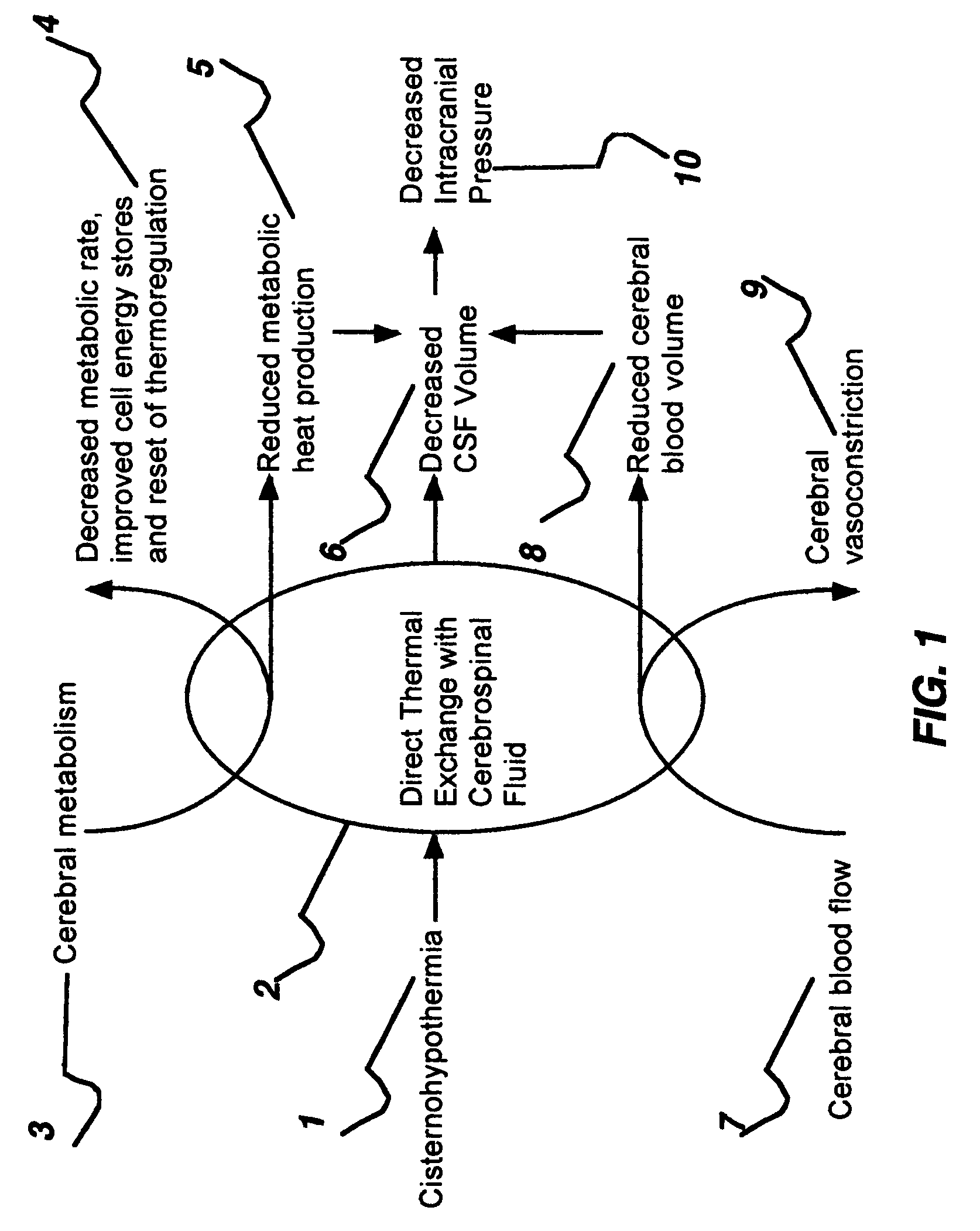 Apparatus and method for hypothermia and rewarming by altering the temperature of the cerebrospinal fluid in the brain