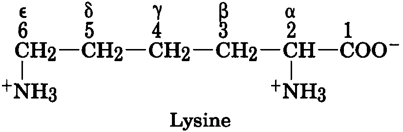 Bovine Foot and Mouth Disease Type A Polypeptide Vaccine