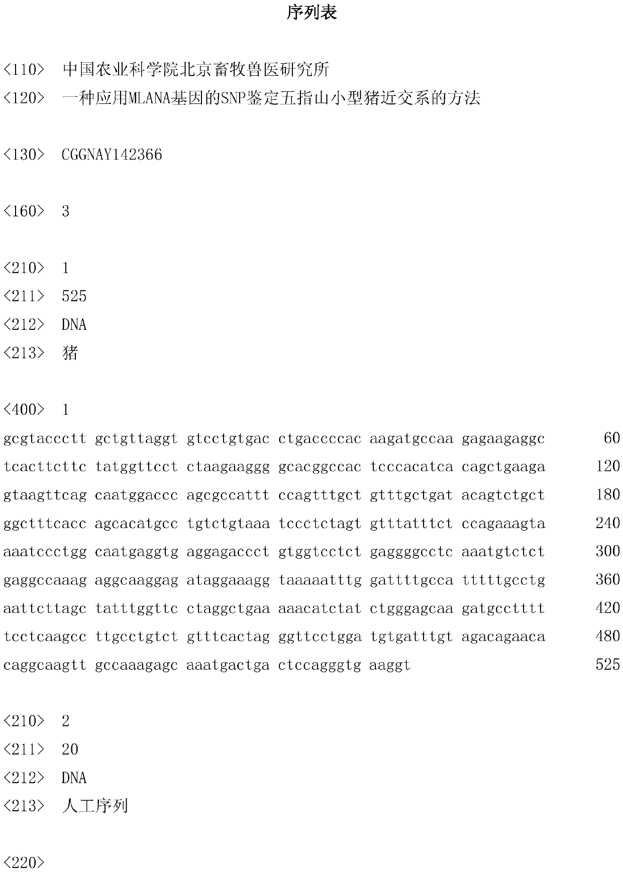 A method for identifying inbred lines of Wuzhishan miniature pigs using snp of mlana gene