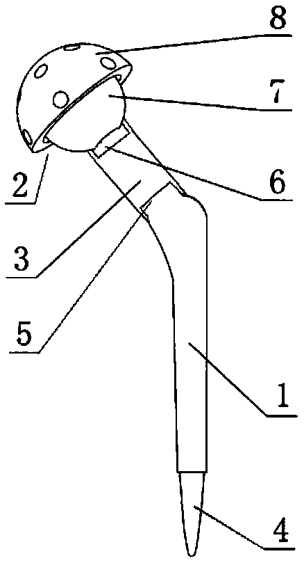 artificial hip joint