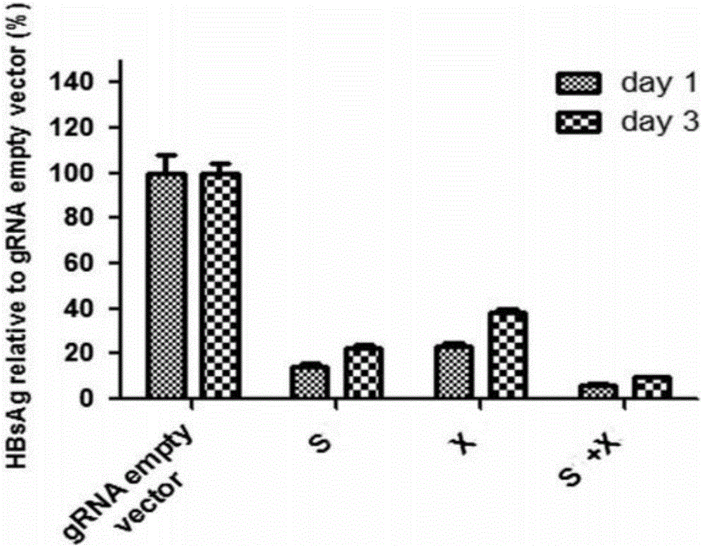 Specific sgRNA combined with immunogene to inhibit HBV replication, expression vector thereof, and application of specific sgRNA and expression vector