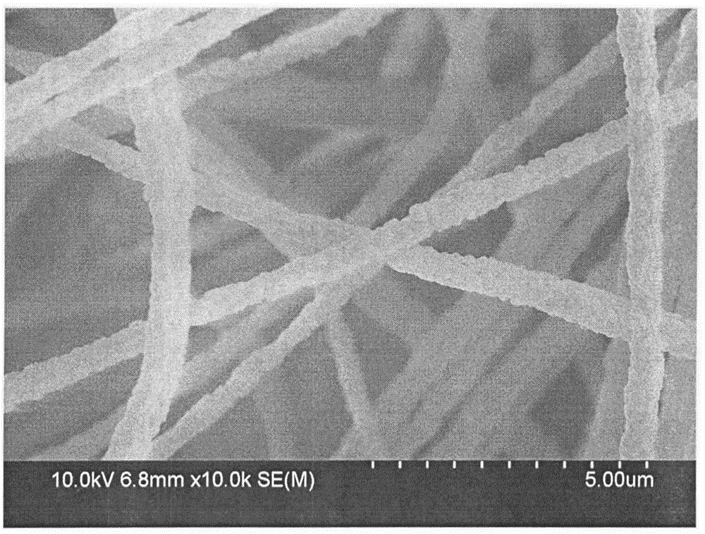 Porous carbon nanofiber membrane for positive electrode material of lithium-sulfur battery and preparation method thereof