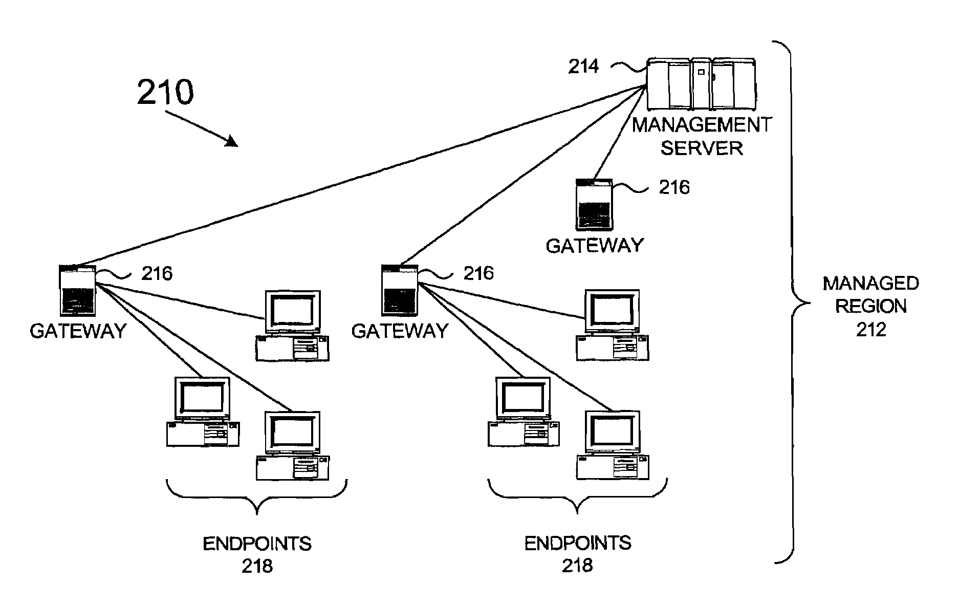 Method and system for restricting and enhancing topology displays for multi-customer logical networks within a network management system