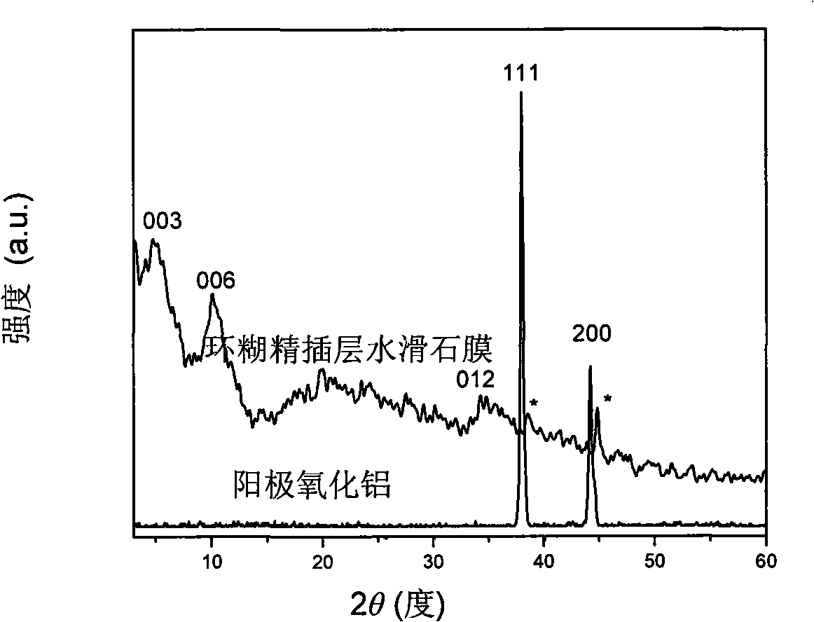 Vertical substrate grown cyclodextrin intercalation hydrotalcite film and preparation thereof