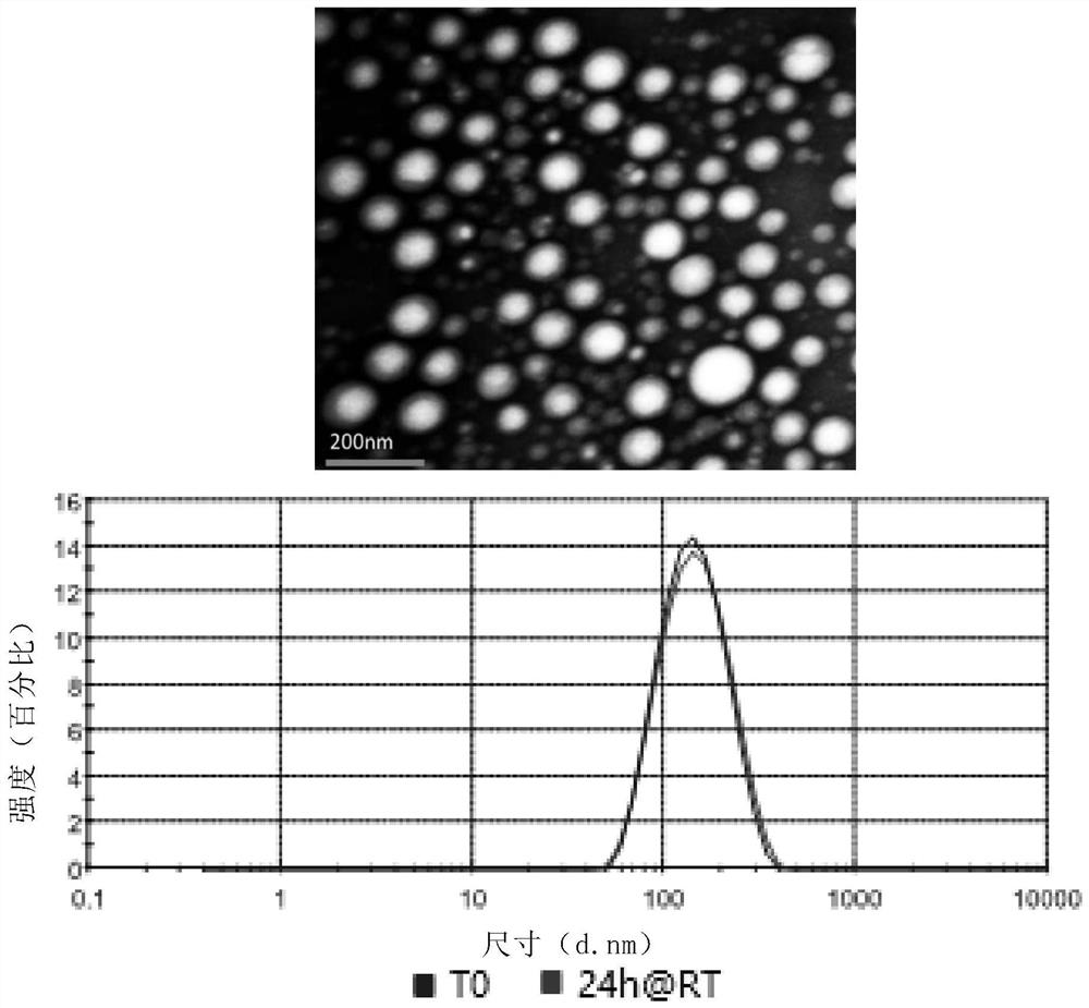 Docetaxel albumin nano composition and preparation method thereof