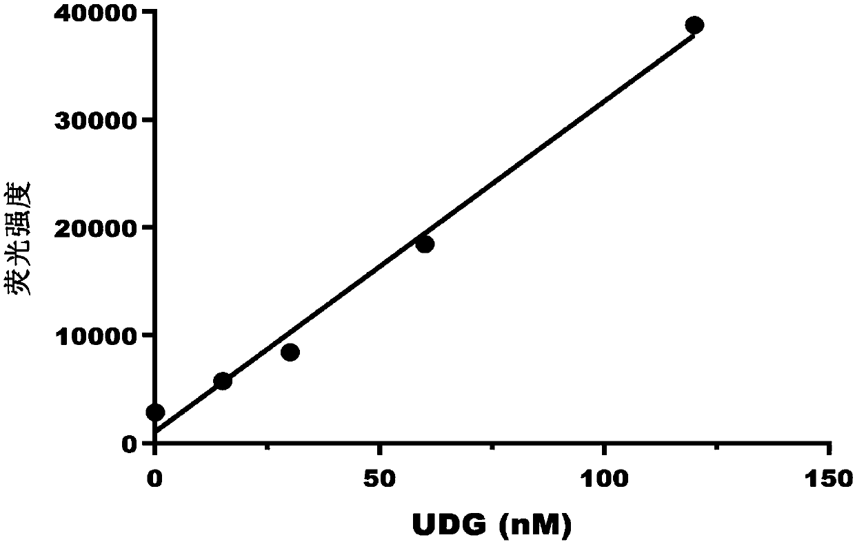 Method capable of detecting activity of multiple DNA glycosylases