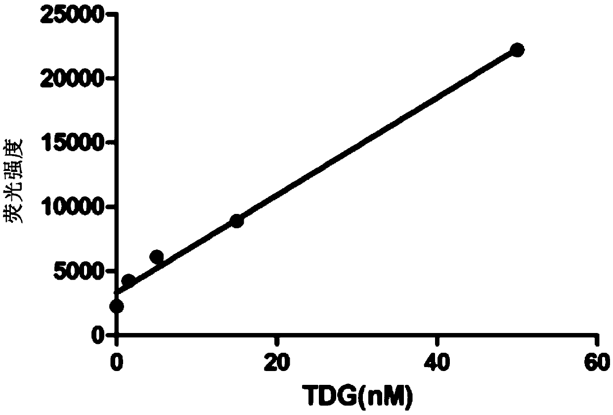 Method capable of detecting activity of multiple DNA glycosylases