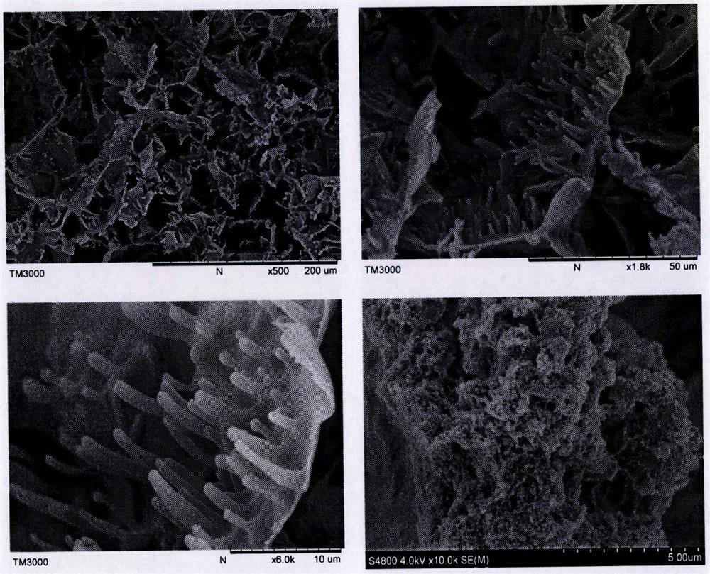 A kind of epoxy-based macroporous/mesoporous polymer material and preparation method thereof