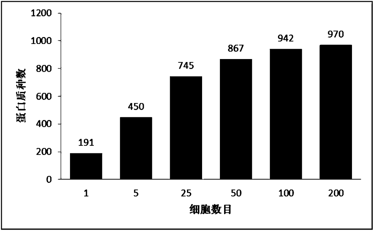 Method for efficiently enriching cell protein of buffalo