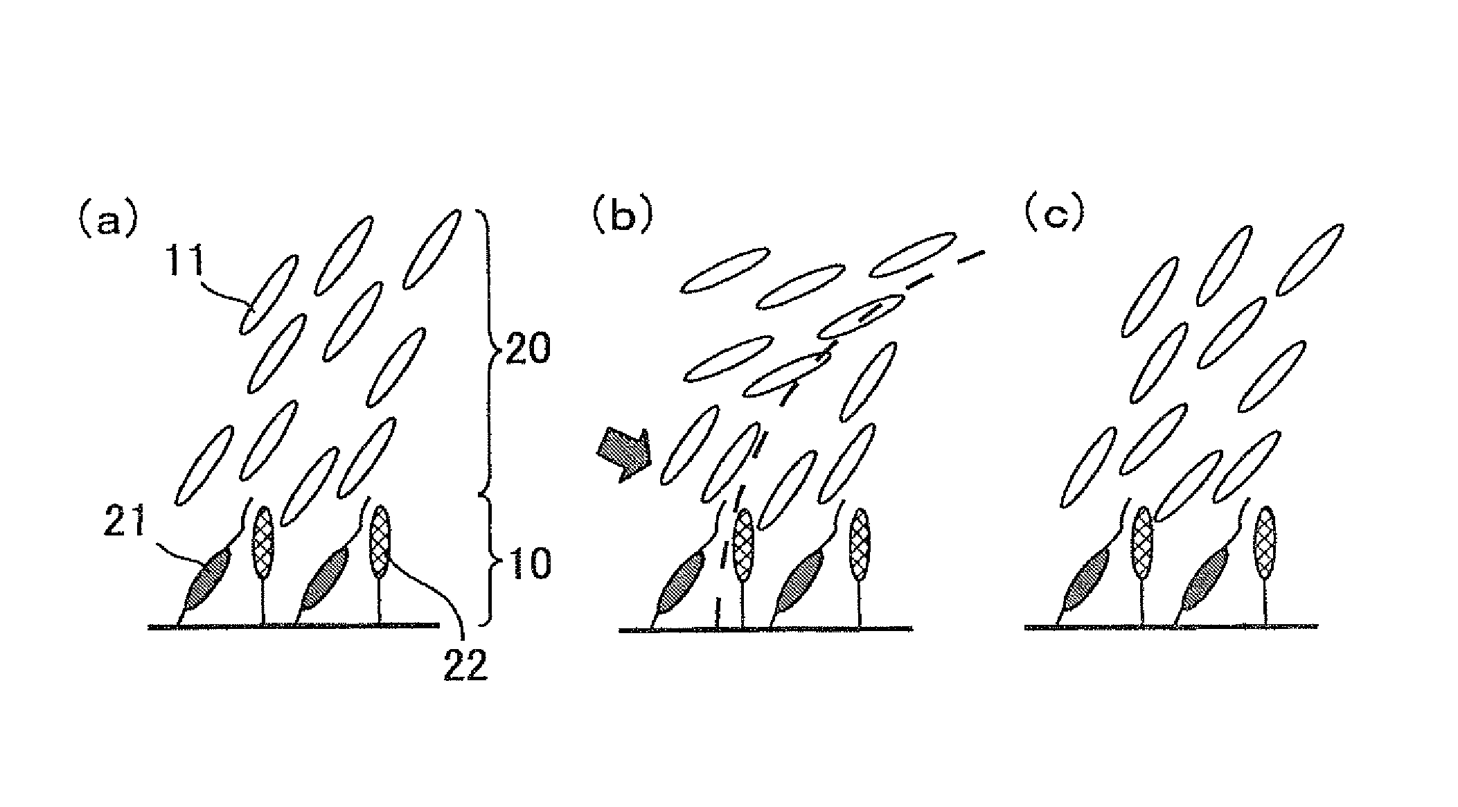 Liquid crystal display device and polymer for aligning film material
