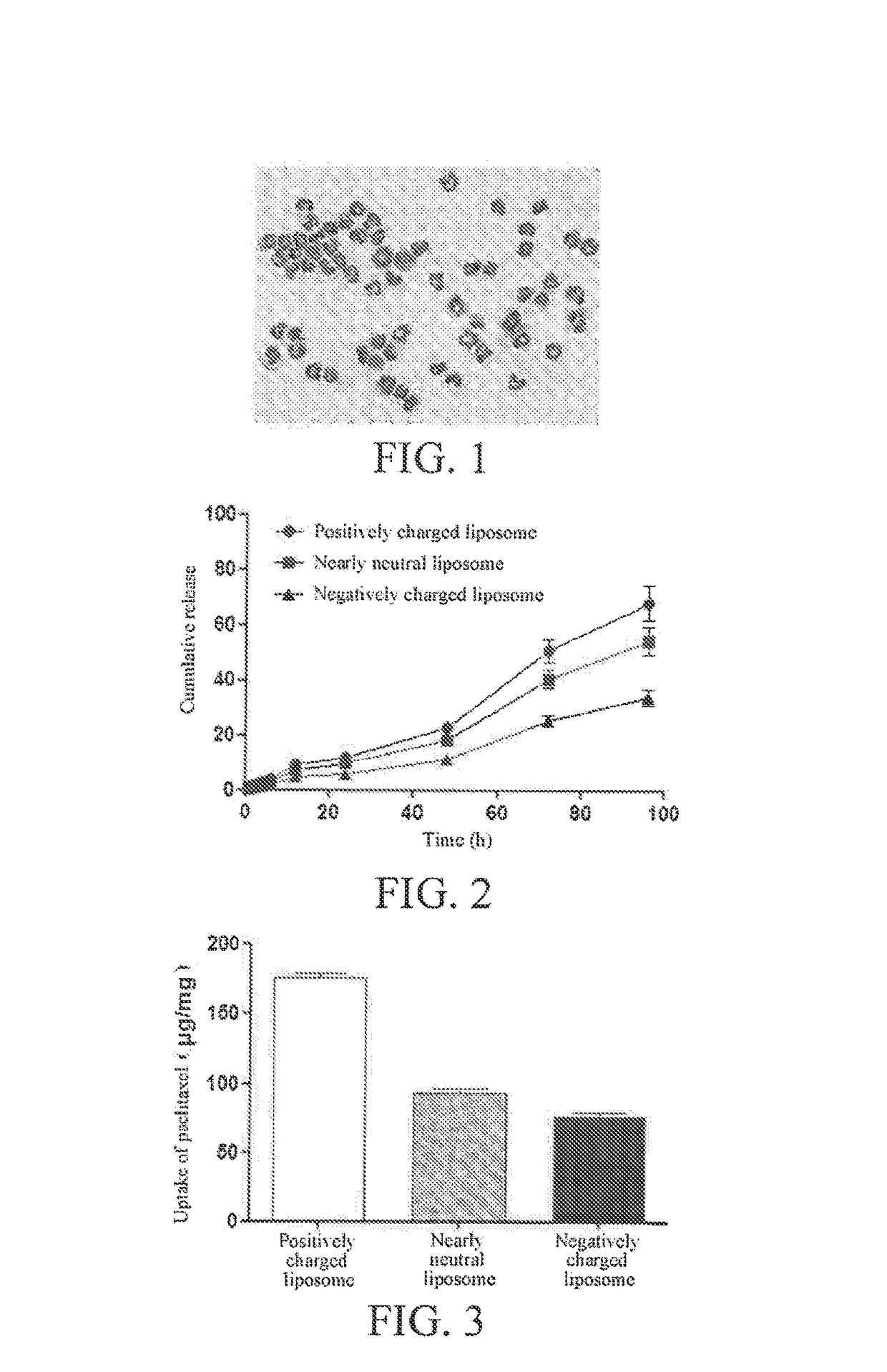 Inflammation-targeted neutrophil granulocyte drug delivery system and use thereof