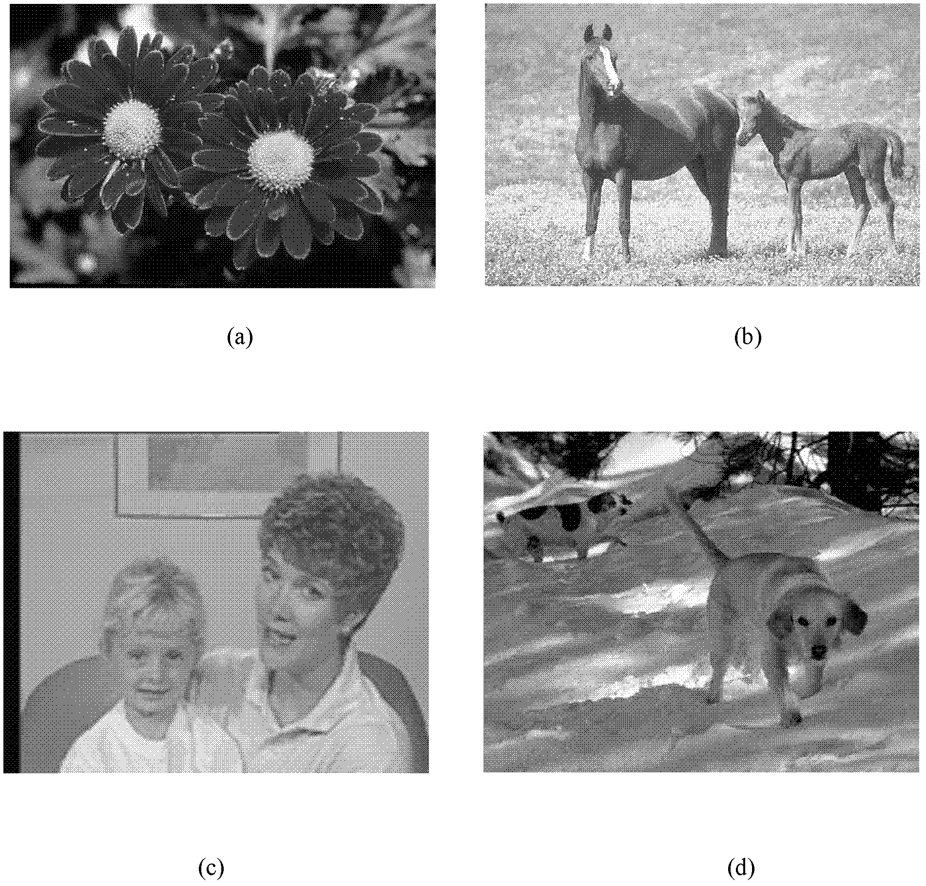 Semi-automatic image cutting method based on nuclear transfer