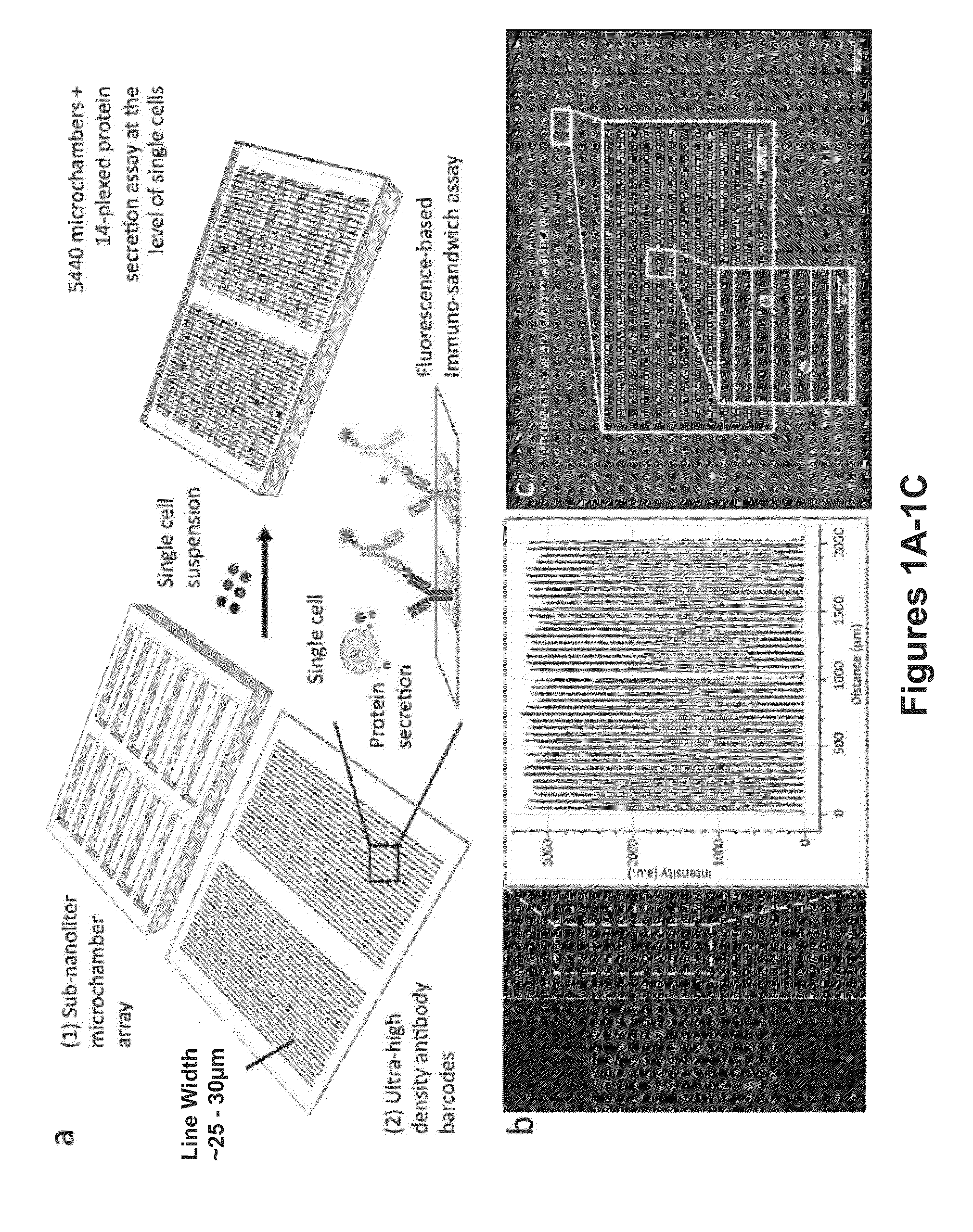 System, device and method for high-throughput multi-plexed detection