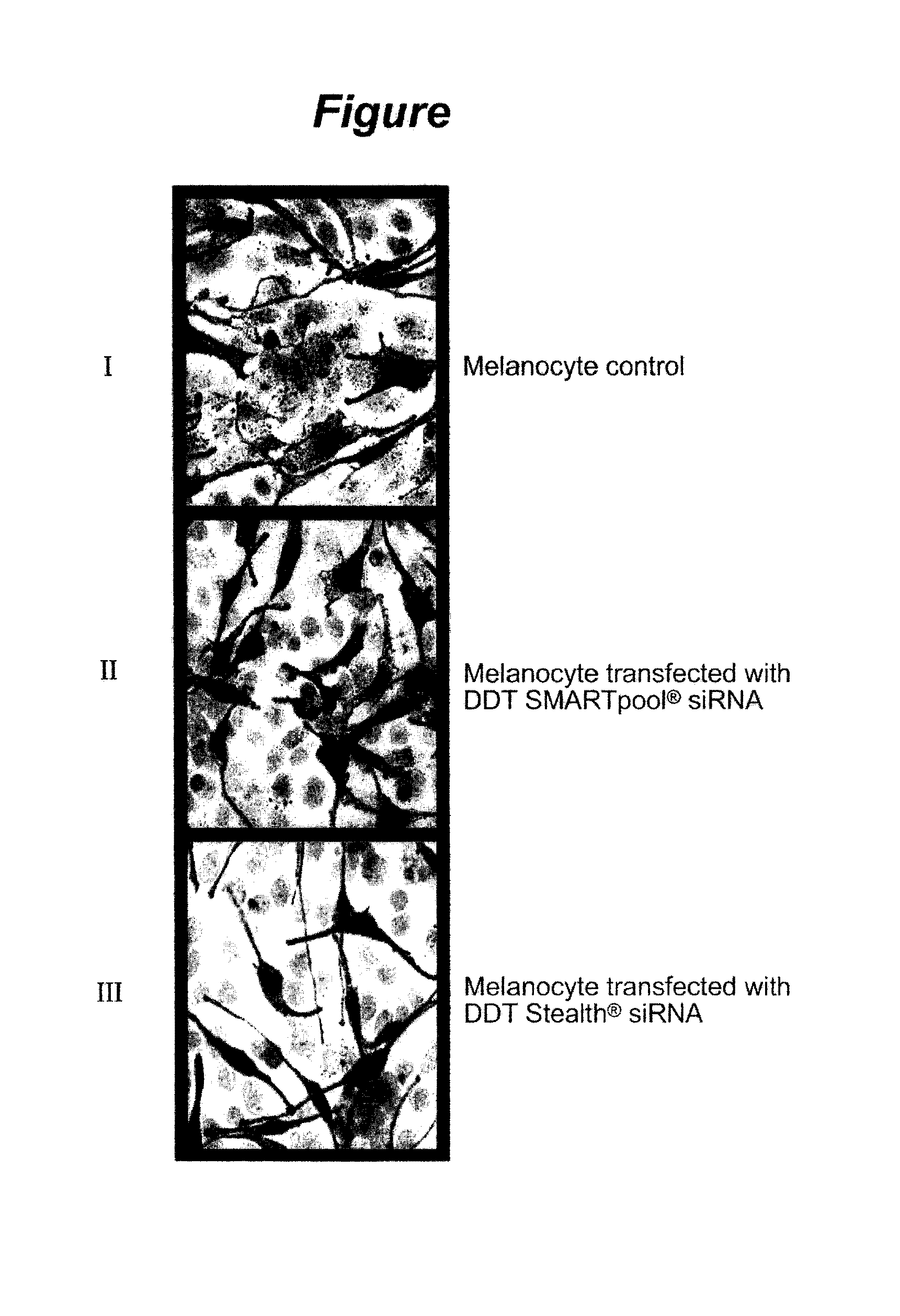 Method and Composition for Color Modulation