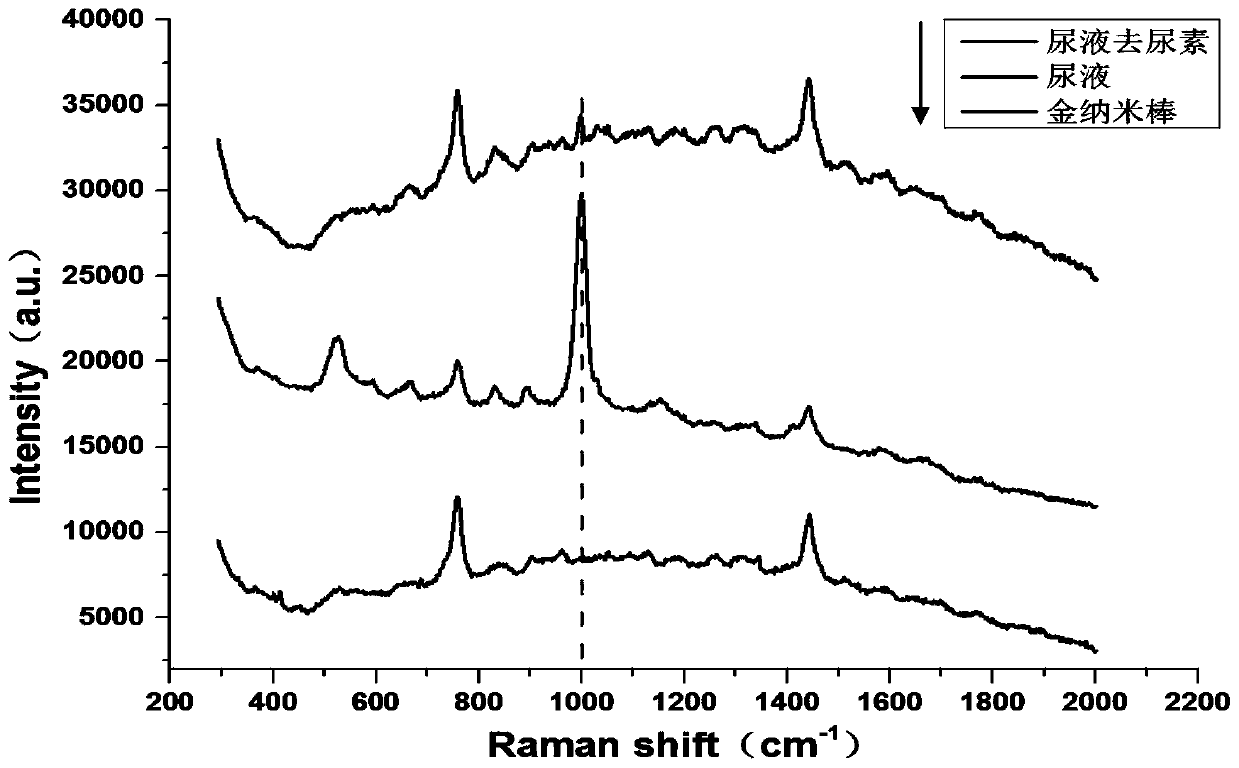 Novel method for detecting creatinine in urine on basis of SERS (surface enhanced Raman spectroscopy)