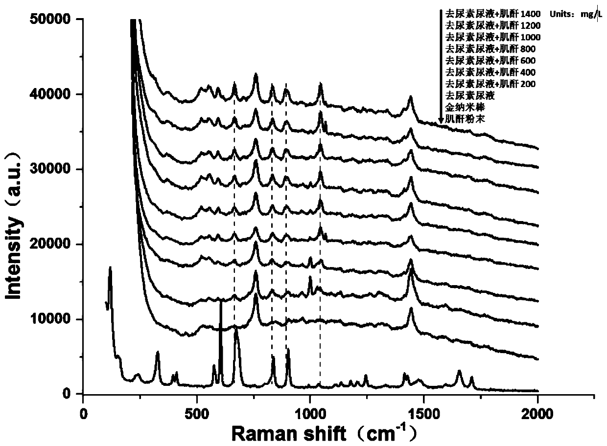 Novel method for detecting creatinine in urine on basis of SERS (surface enhanced Raman spectroscopy)