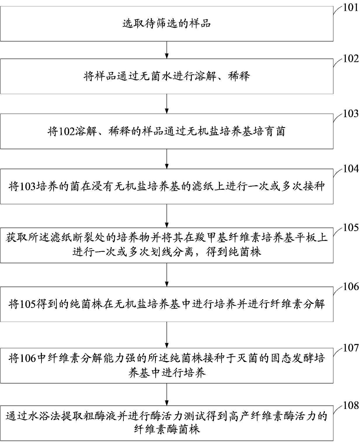 Strains with high cellulase activity as well as screening method and use method of strains