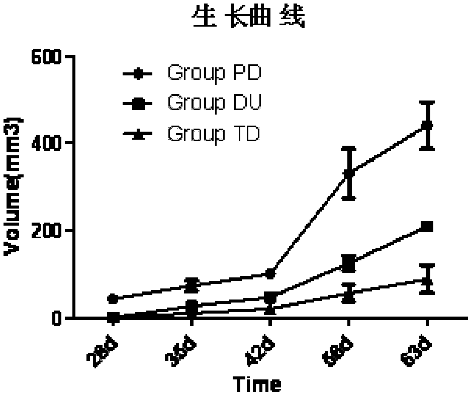 Tumor model capable of reflecting prostatic cancer to generate zone functional difference and establishment method