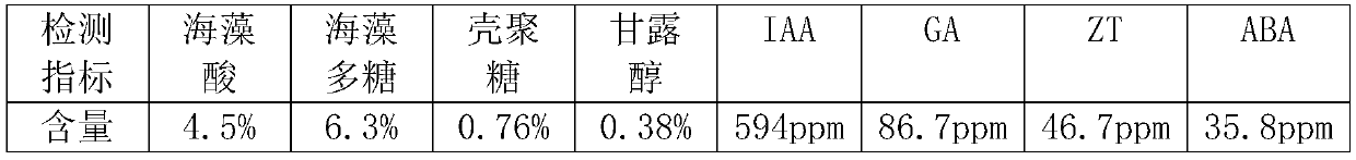 Preparation method of Ascophyllum nodosum residue organic granular fertilizer