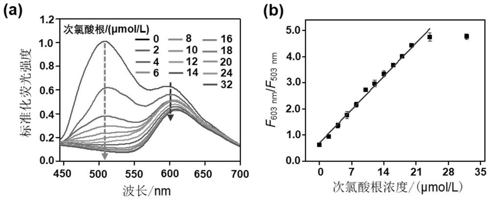 Detection method of hypochlorite ions