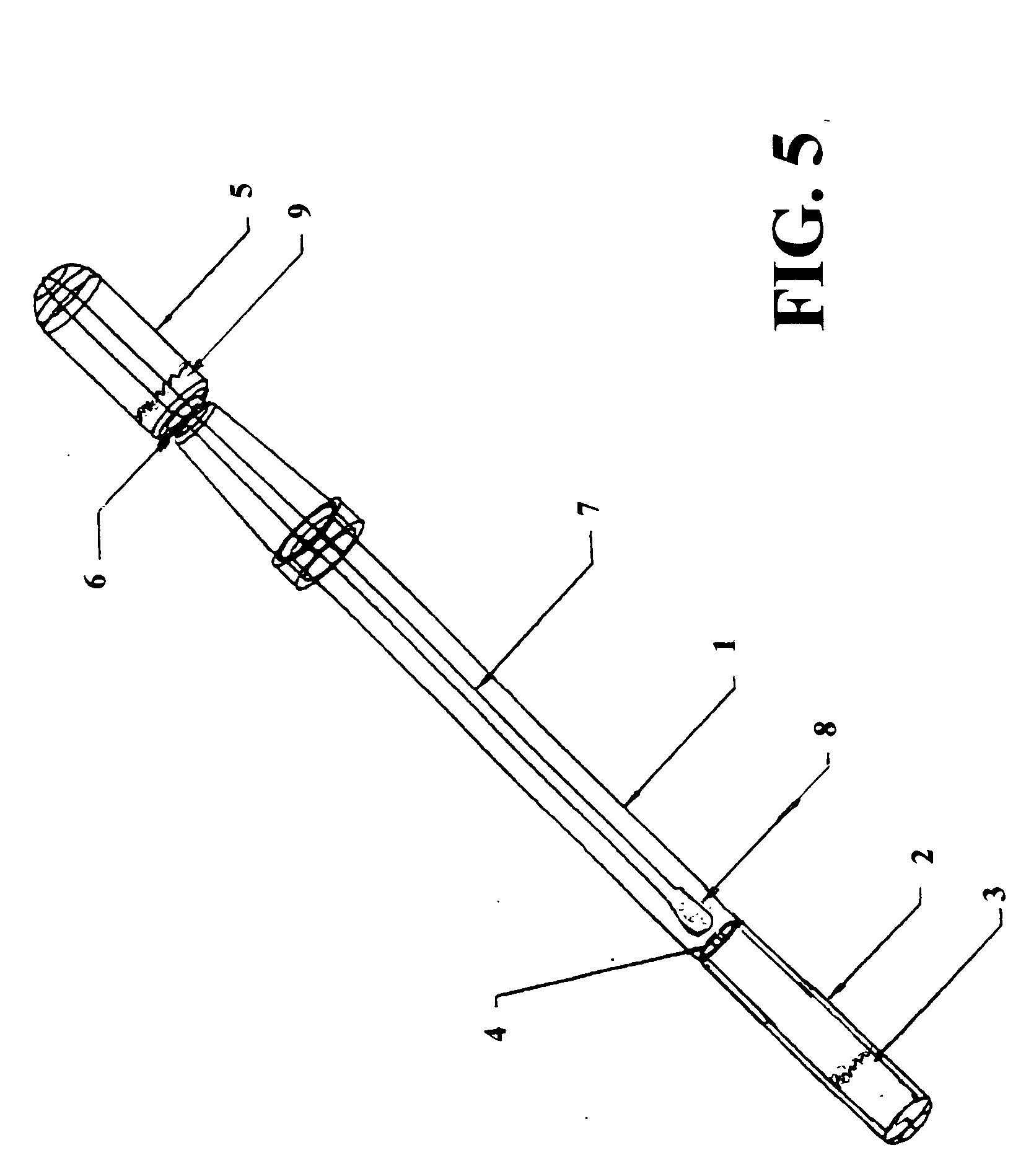 Methods and apparatus for the rapid detection of microorganisms collected from infected sites