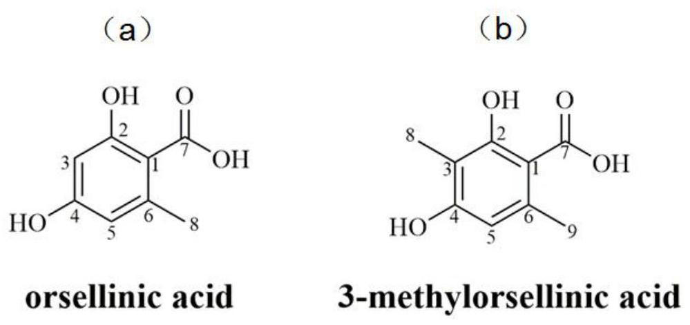 Polyketide synthase Preu3-delta CMeT and application thereof in preparation of orsellinic acid