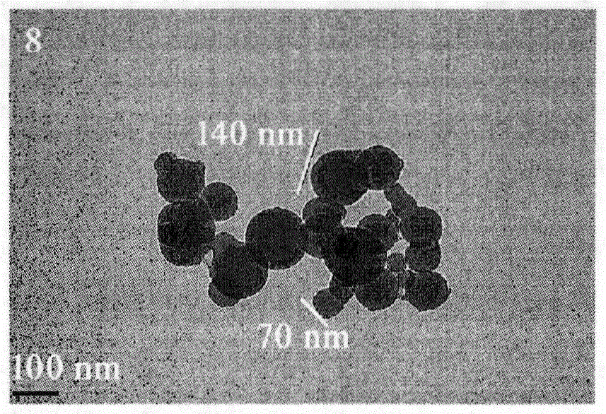 Trp-Trp-Trp decapeptide modified beta-carboline, and preparation, nanometer structure, activity and application thereof
