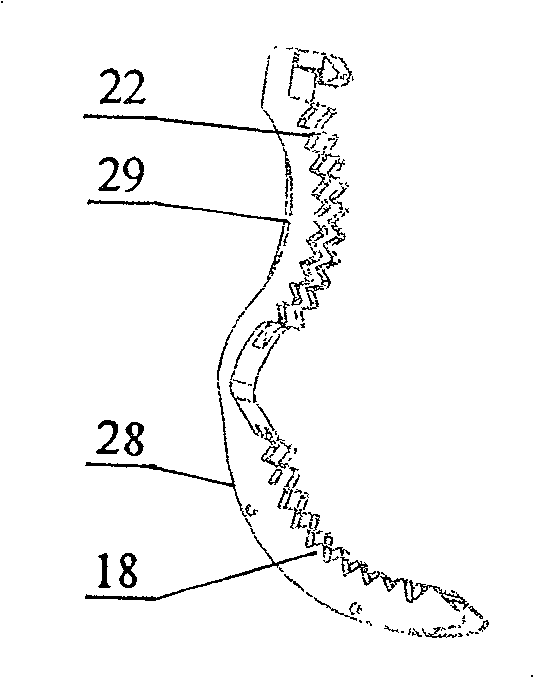 Umbilical cord clamps with birth time electronic display and cutting function