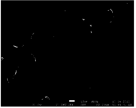 Manganese oxide diatomite composite adsorbent for treating lead-containing wastewater and preparation method thereof