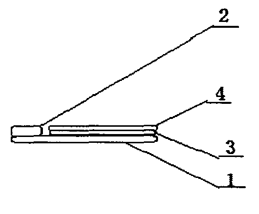 Medical prepuce fixing adhesive sticker