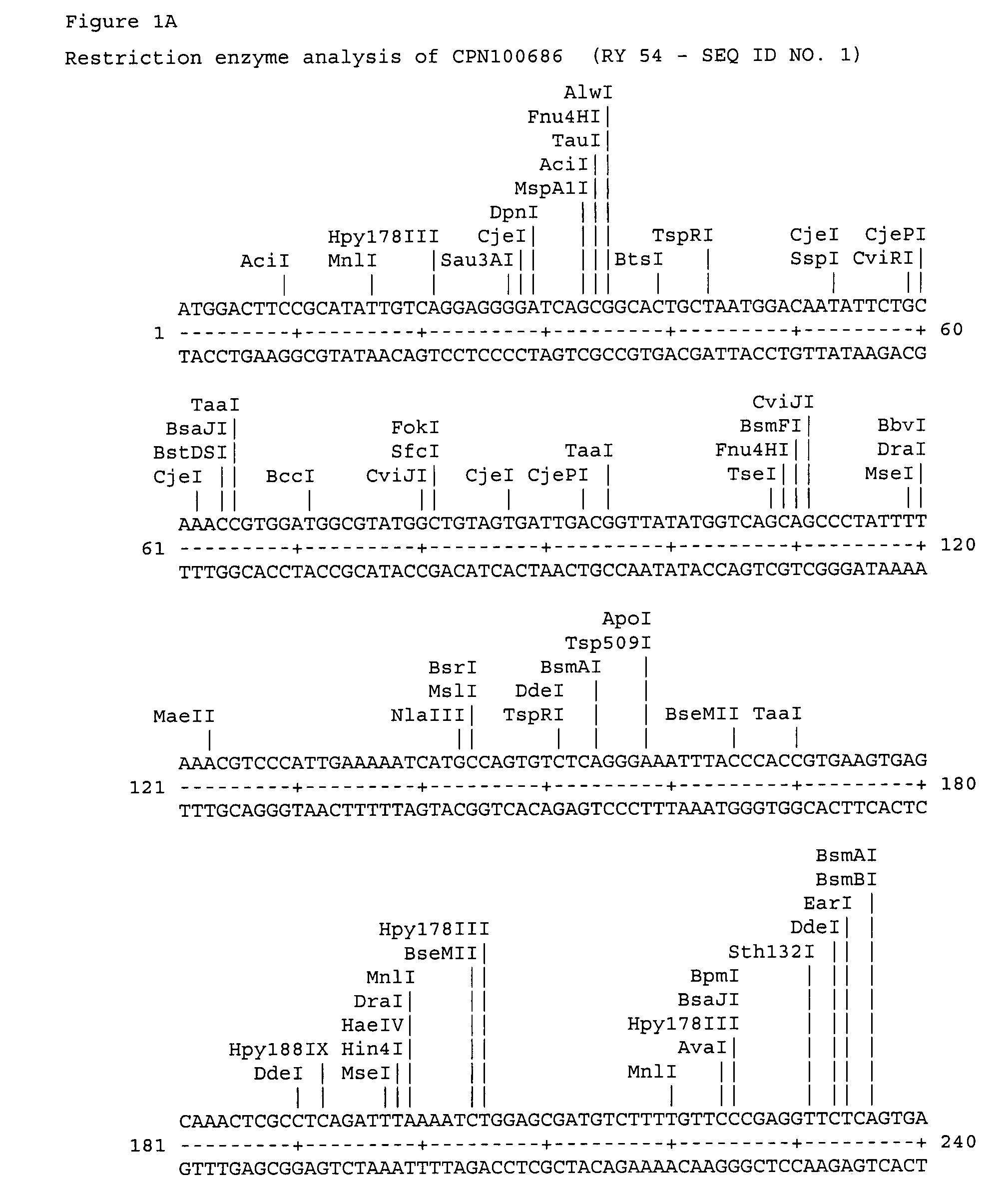 Chlamydia flagellar protein antigen