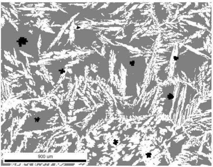 Analysis and detection method of two-phase proportion in as-cast structure of duplex stainless steel