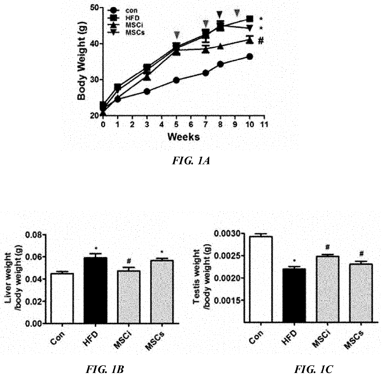 Pharmaceutical composition comprising periodontal tissue-derived pluripotent stem cells for prevention or treatment of male infertility