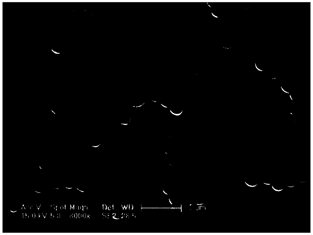 Antibacterial and anticoagulant coating, functional material with antibacterial and anticoagulant coating and preparation method of functional material