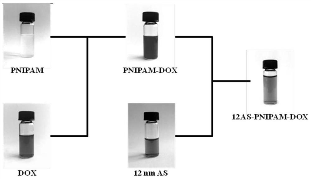 A composite drug carrier based on metal nanoparticles and microgel and its application