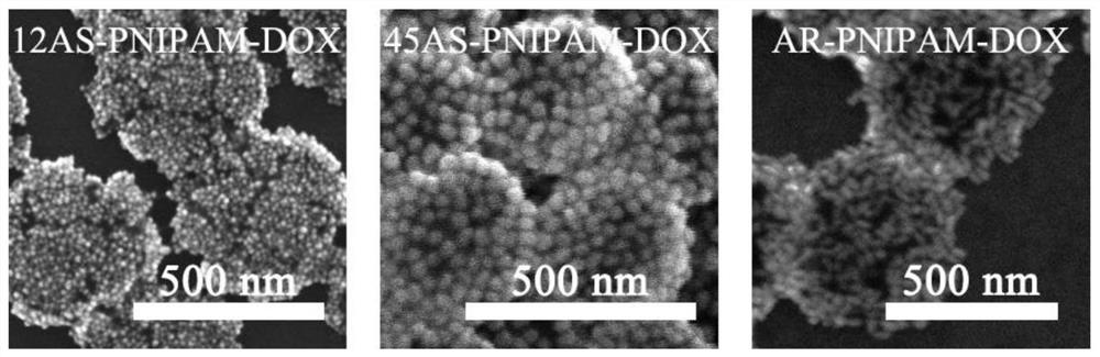 A composite drug carrier based on metal nanoparticles and microgel and its application