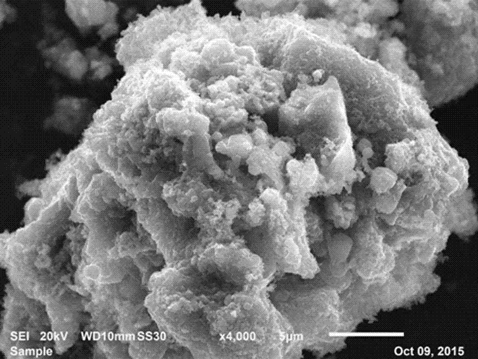 A method for rapidly preparing methanation catalyst by microwave roasting