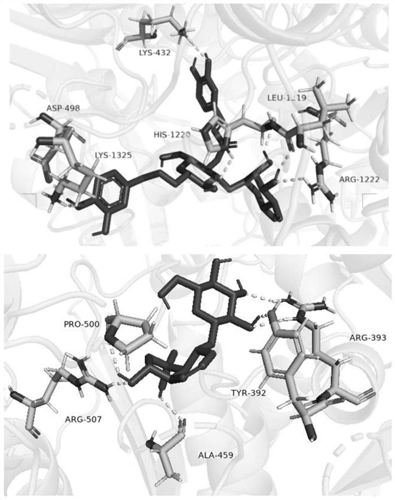 Application of rehmannia extract in preparation of medicine for preventing or treating hyperuricemia