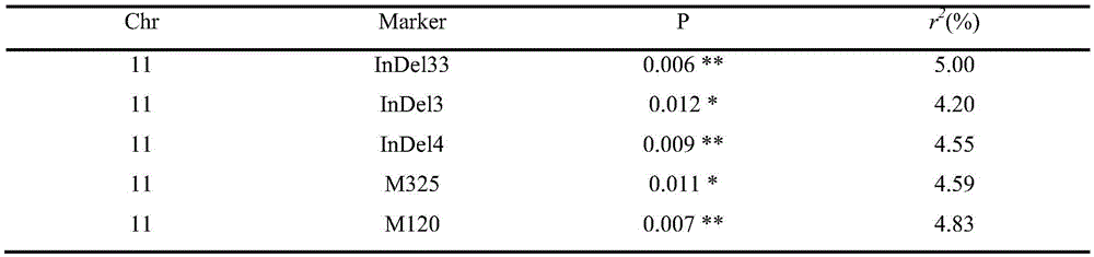 Molecular marker InDeL_33 of main-effect QTL (quantitative trait locus) of soybean hundred-grain weight and application of molecular marker InDeL_33