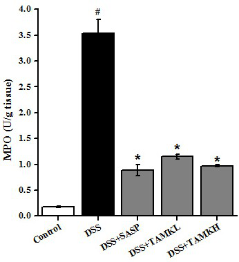 Application of total alkaloids of Jingdongshan orange in the preparation of drugs for preventing and treating inflammatory bowel disease