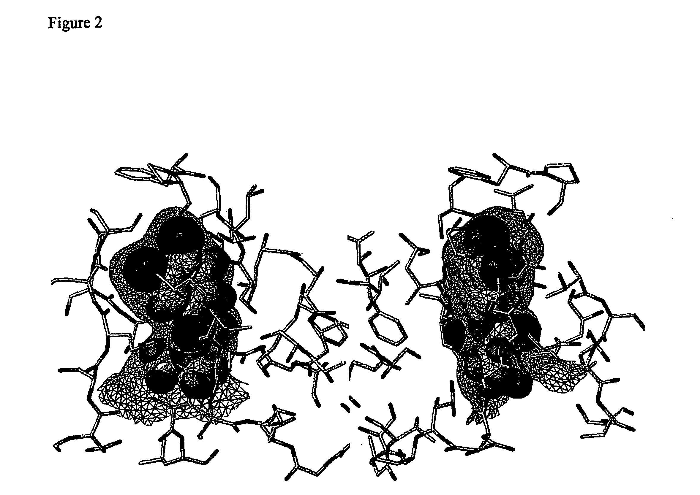 Use of urea variants as affinity ligands