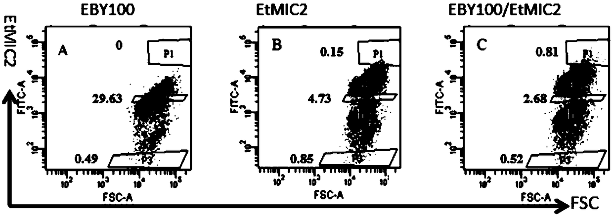 A chicken Eimeria tenella micronematode-2 mutant etmic2-1130