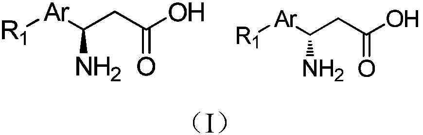 Novel efficient method for synthesizing chiral beta-amino acid
