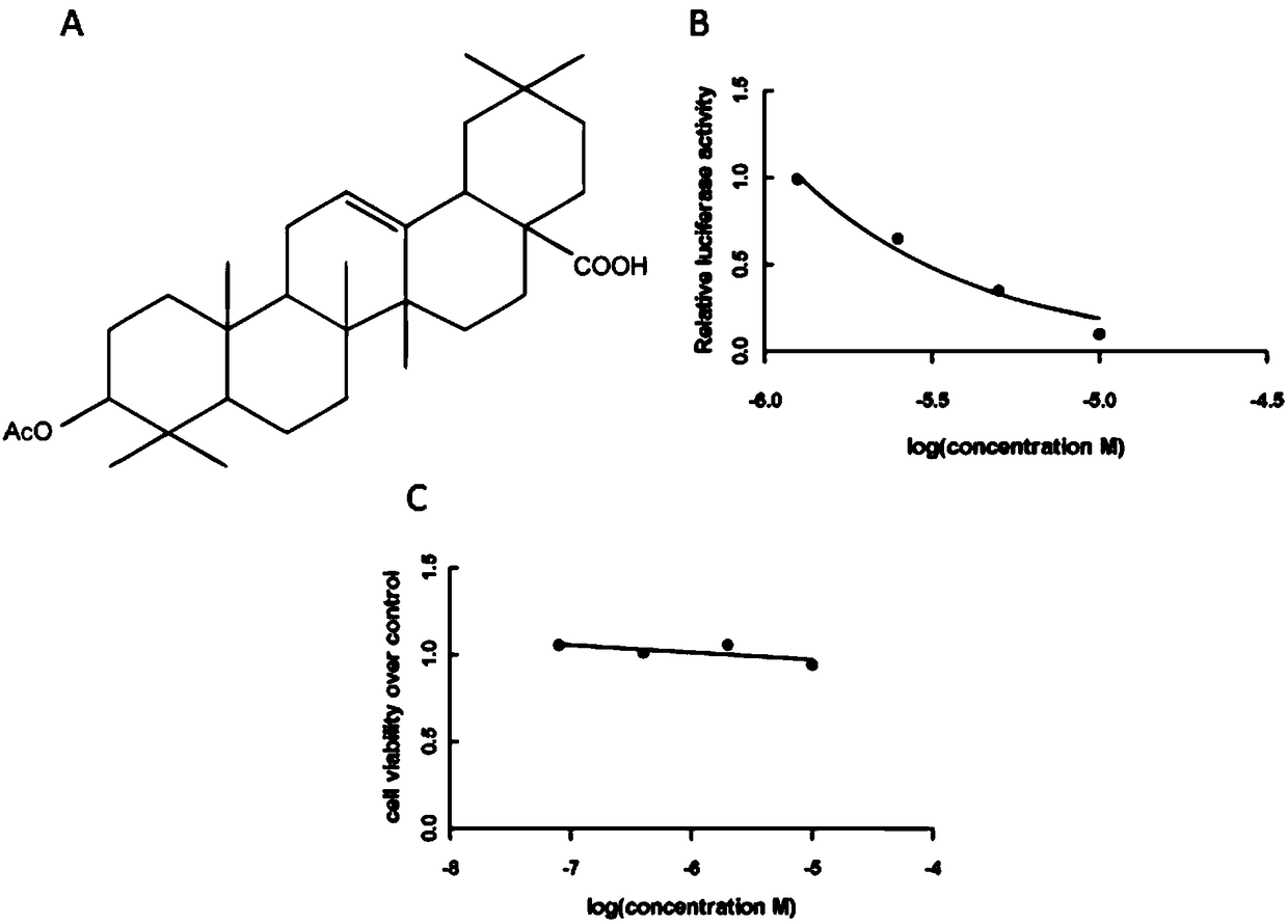 Application of 3beta-acetyl oleanolic acid in preparing drug for treating autoimmune diseases
