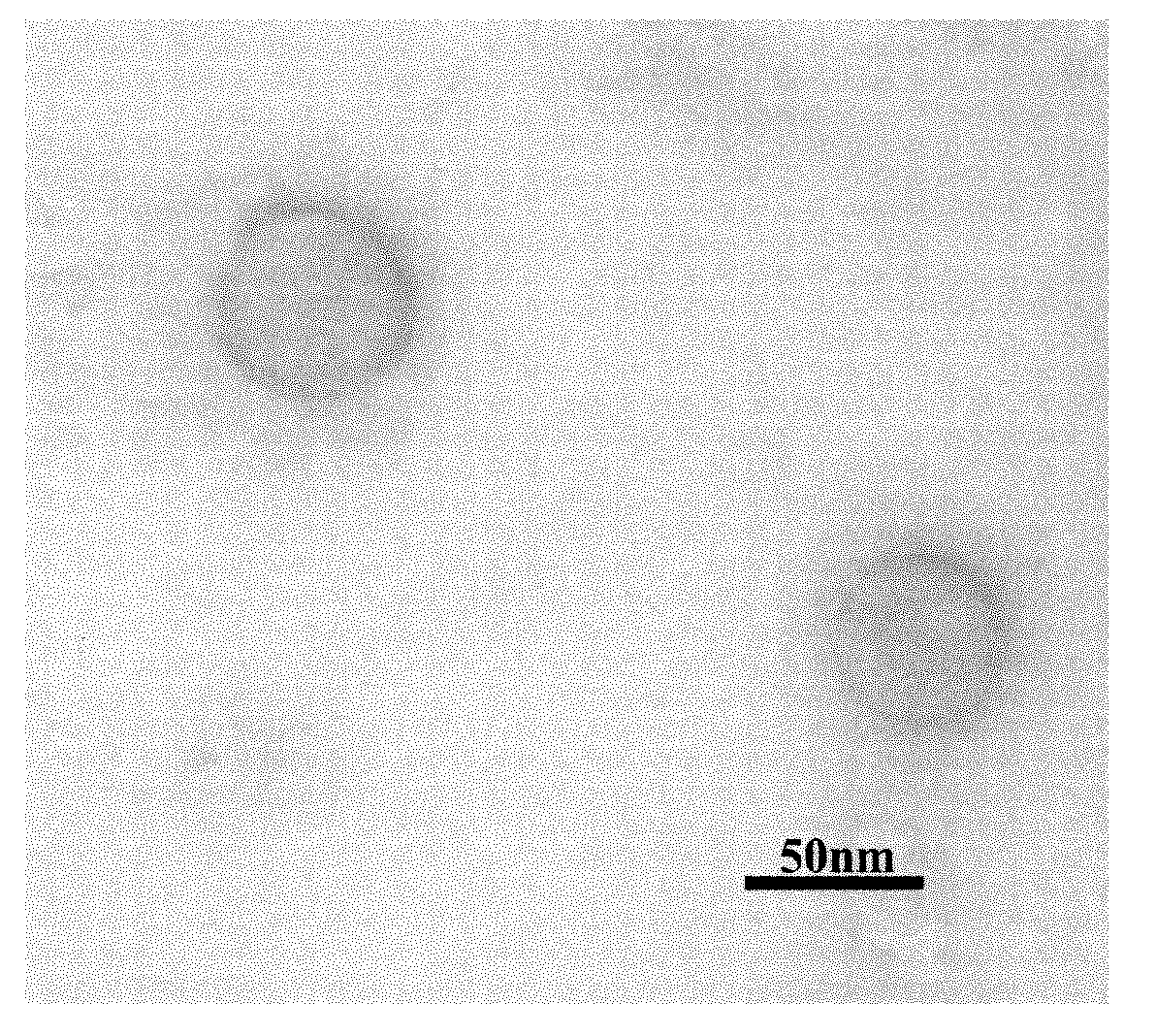 Aqueous conducting anti-corrosive paint containing nano core-shell structure polypyrrole