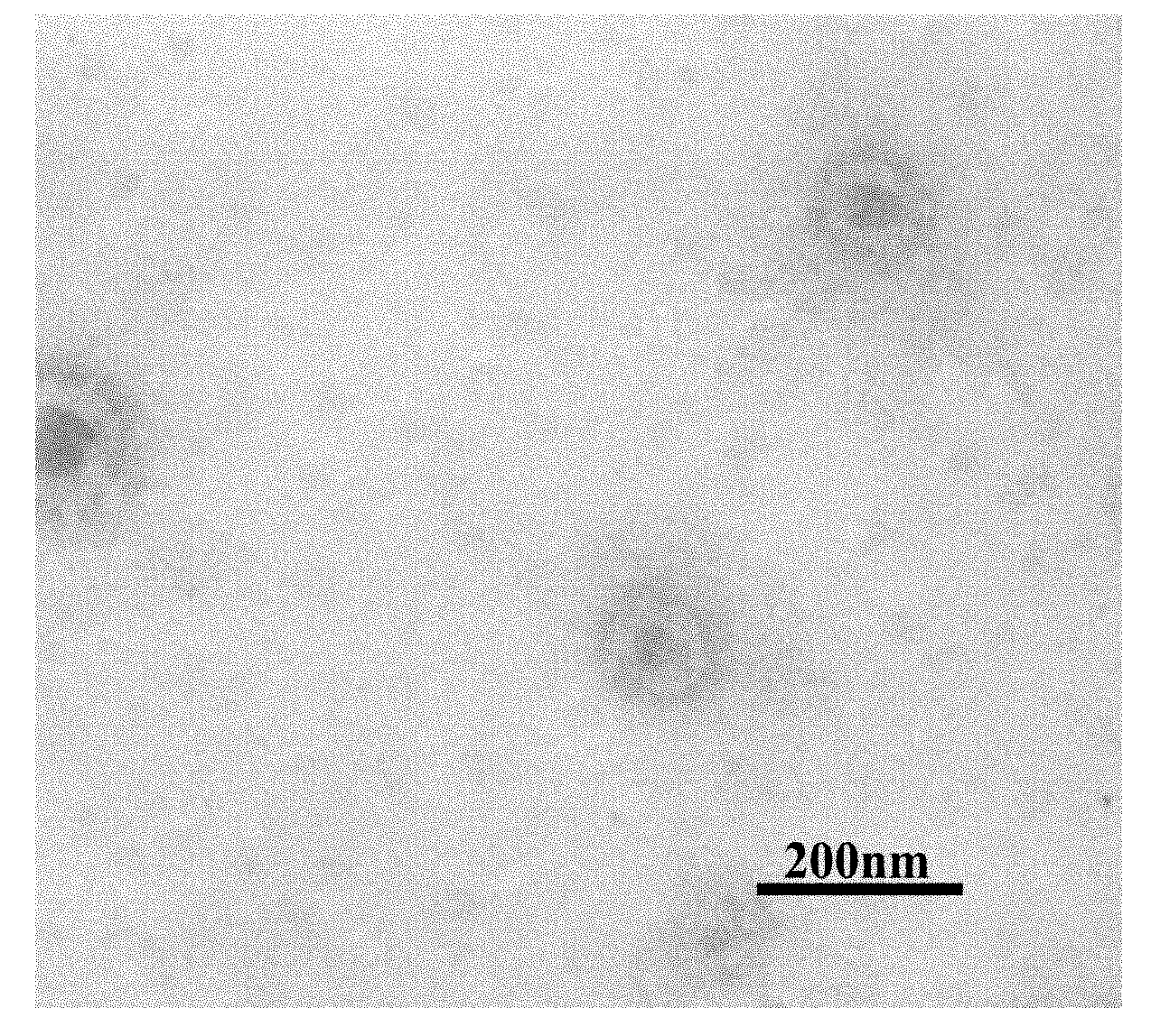 Aqueous conducting anti-corrosive paint containing nano core-shell structure polypyrrole