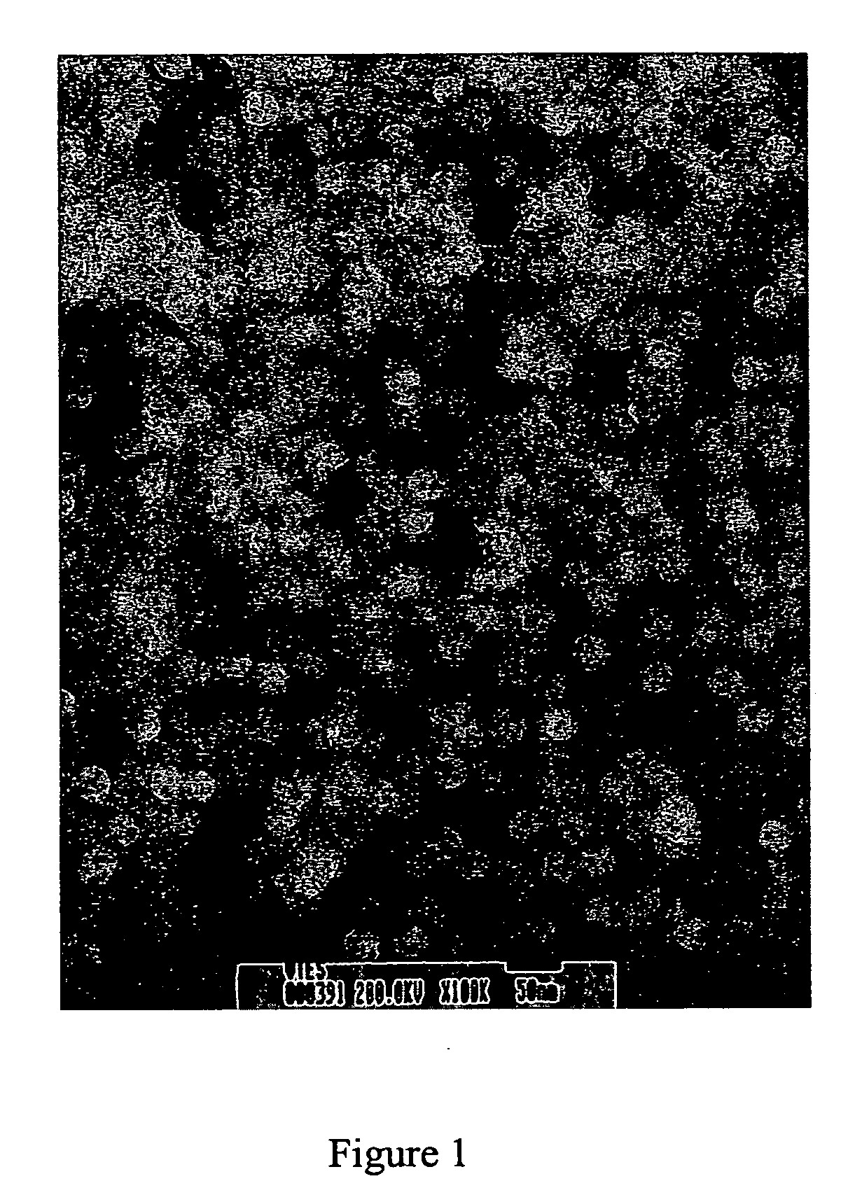 Ceramic based nanoparticles for entrapping therapeutic agents for photodynamic therapy and method of using same